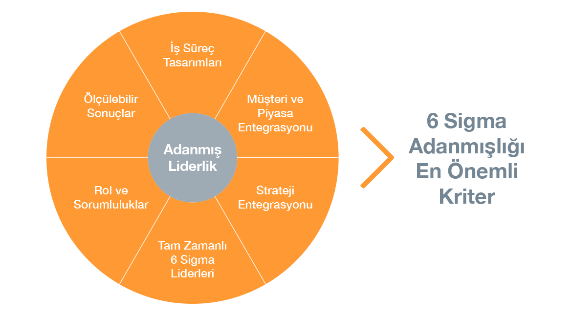 Yalin 6 Sigma Borusan Lojistik