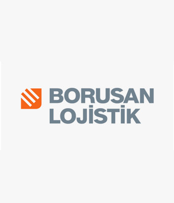 Borusan Logo Type - 1