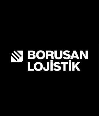 Borusan Logo Type - 2