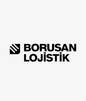 Borusan Logo Type - 3