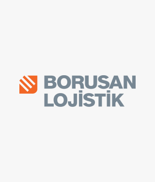 Borusan Logo Type - 1