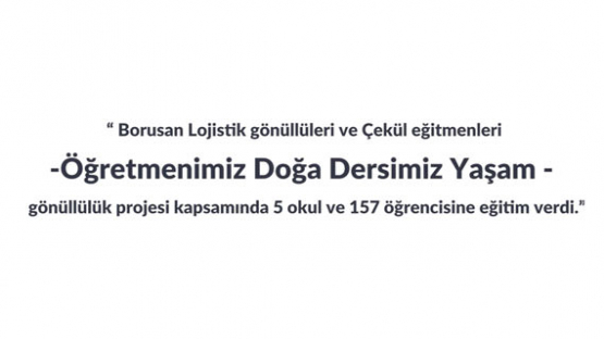 Borusan Lojistik